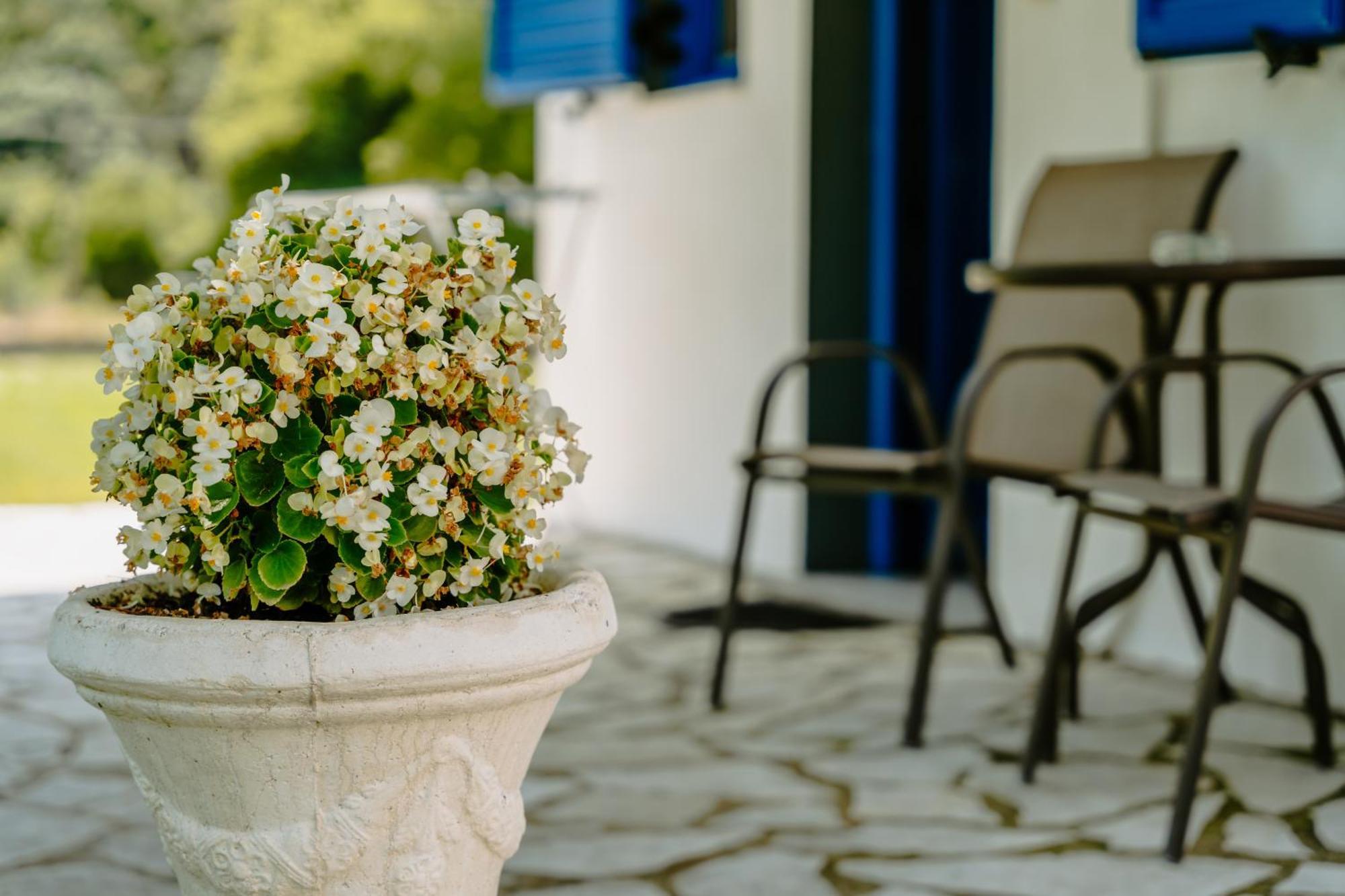 Villa Marina Perdika  Dış mekan fotoğraf